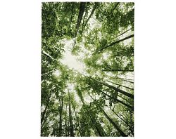 Koberec Belis 160x230 cm, zelený les